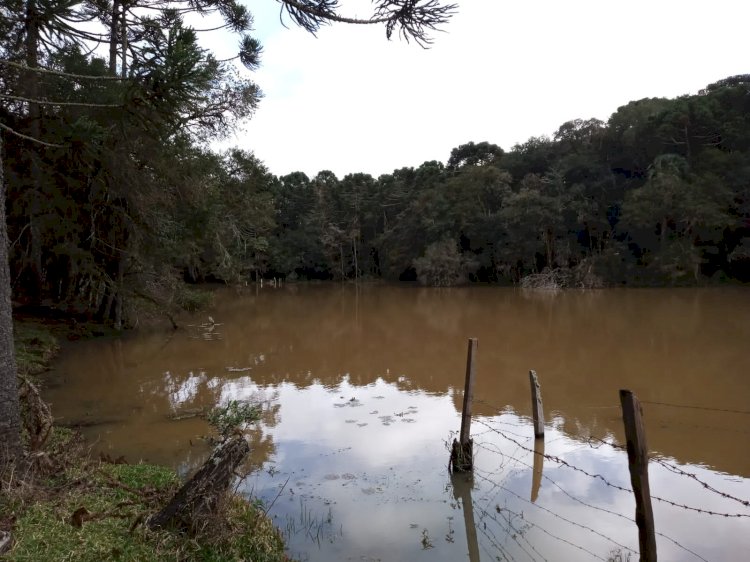 LEBON RÉGIS: IDOSO É ENCONTRADO MORTO EM AÇUDE